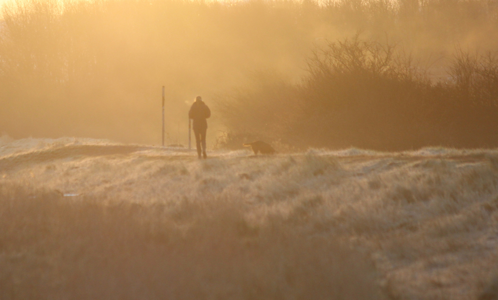 Walking the dog along the sea wall on a frosty morning