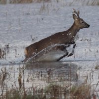 Having a splashing time