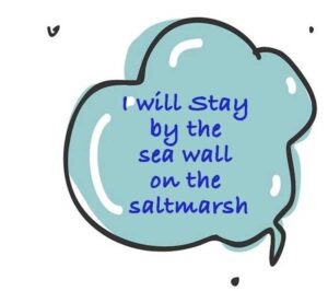 Dog Rangers stay by the sea wall on the salt marsh