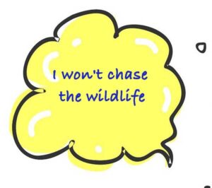 Dog Rangers won't chase the wildlife