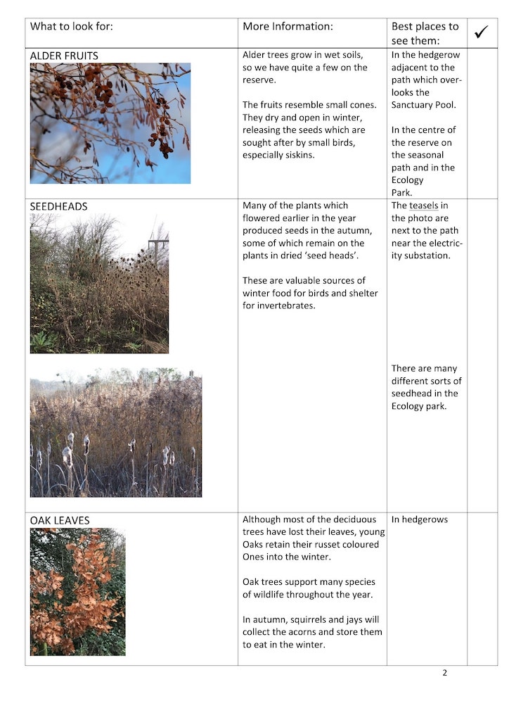 Winter trail page 2