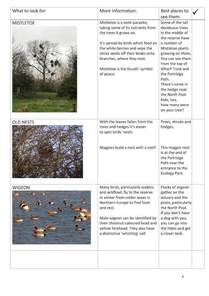 Winter trail page 3