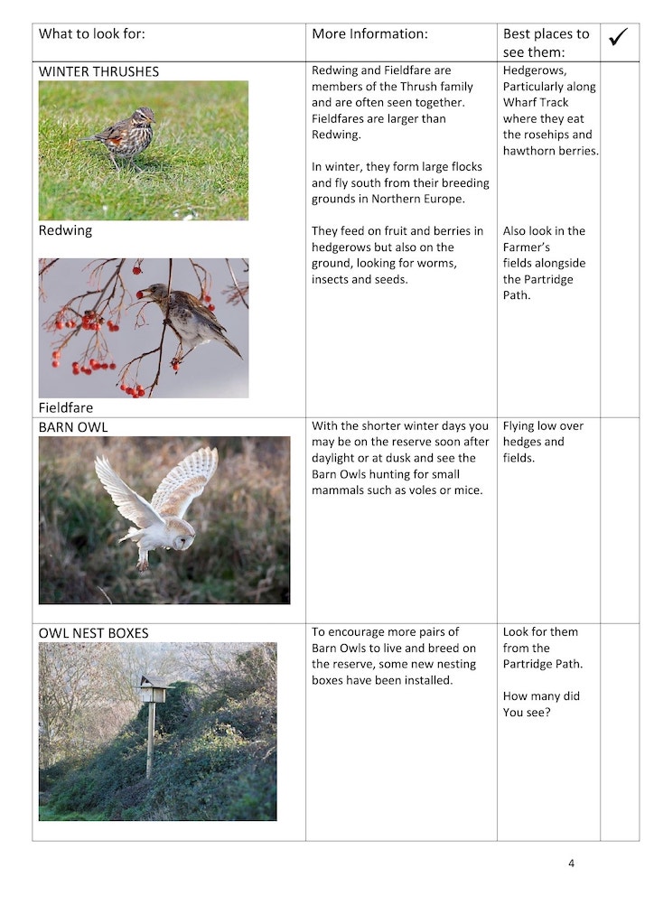 Winter trail page 4