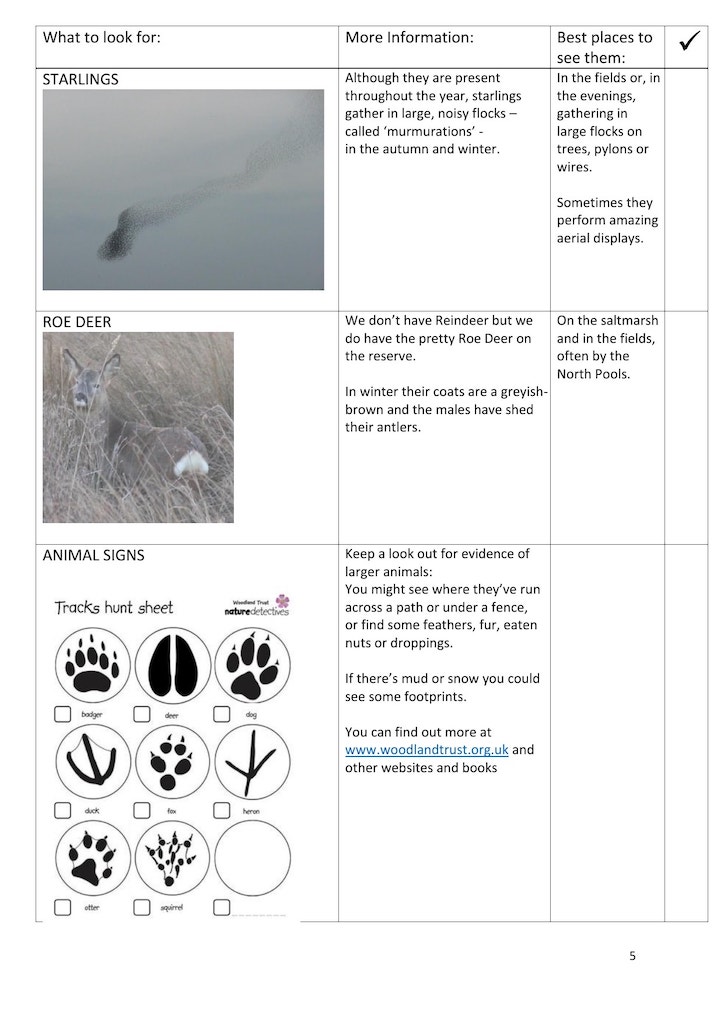 Winter trail page 5