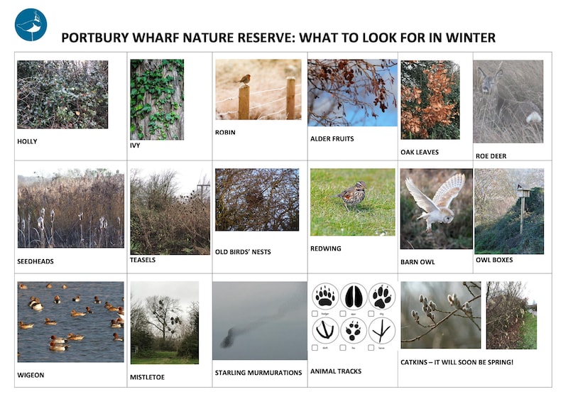 Pictures of what to look out for in winter