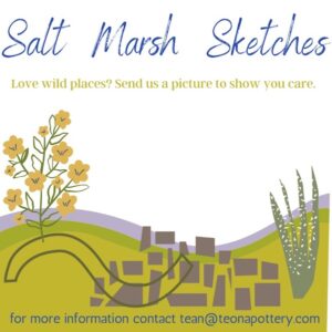 Call for Salt Marsh Art