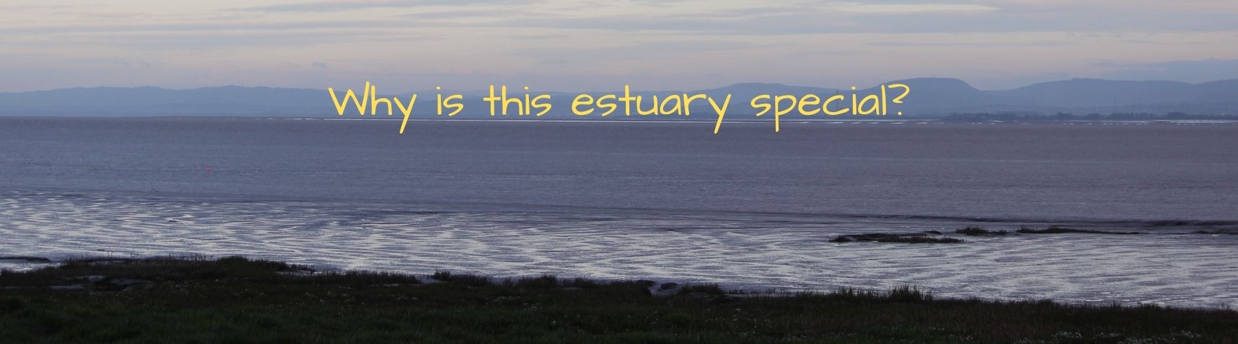 severn estuary