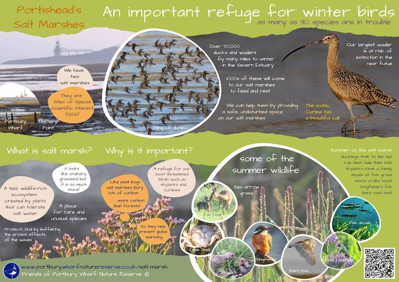 Salt Marsh Leaflet front