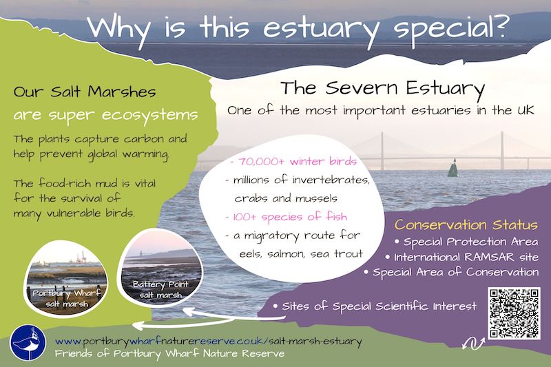 severn estuary