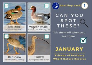 JANUARY SPOTTING CARD FRONT