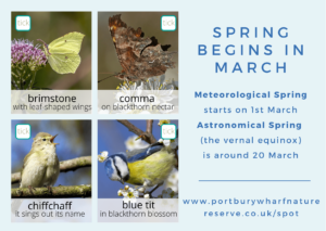 What to spot in March page 2