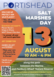 Portishead Salt Marshes Day