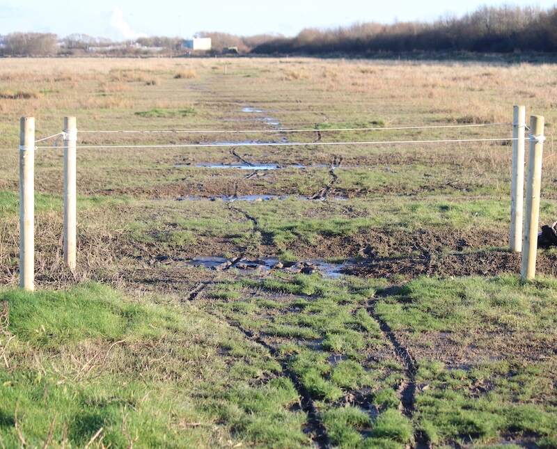 Study Area 2 looking east