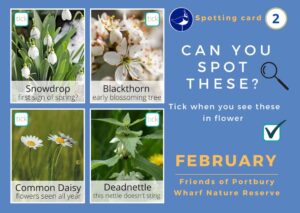 FEBRUARY SPOTTING CARD front