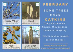 FEBRUARY SPOTTING CARD back
