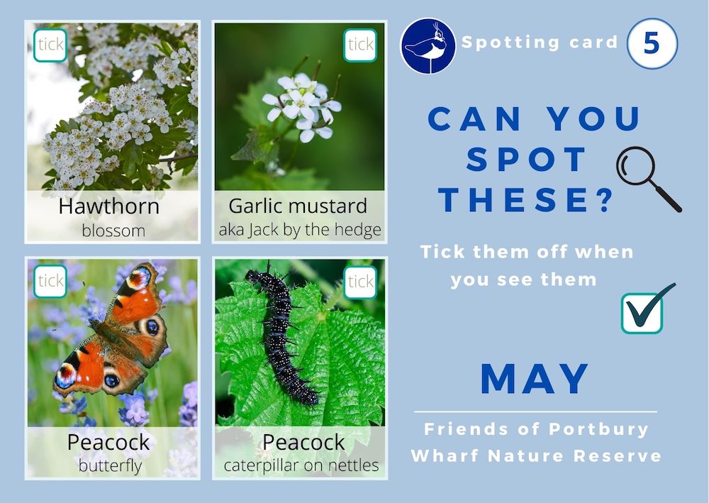 Front of May Spotting Card