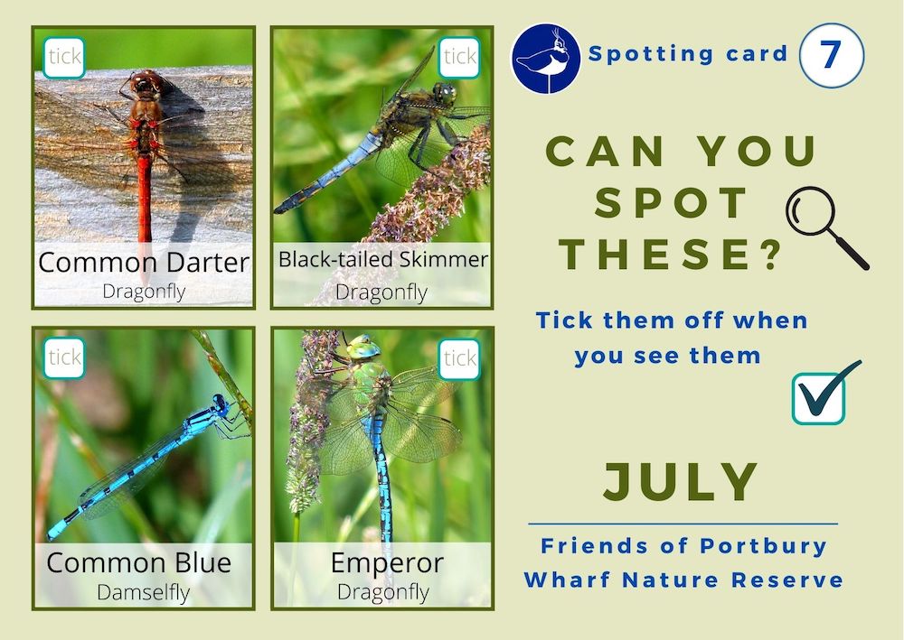 Front of July spotting card