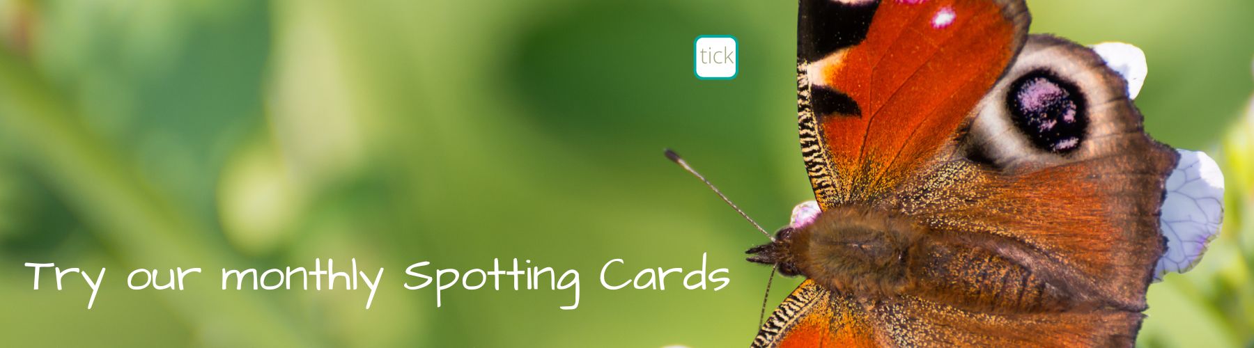 Spotting Card Header