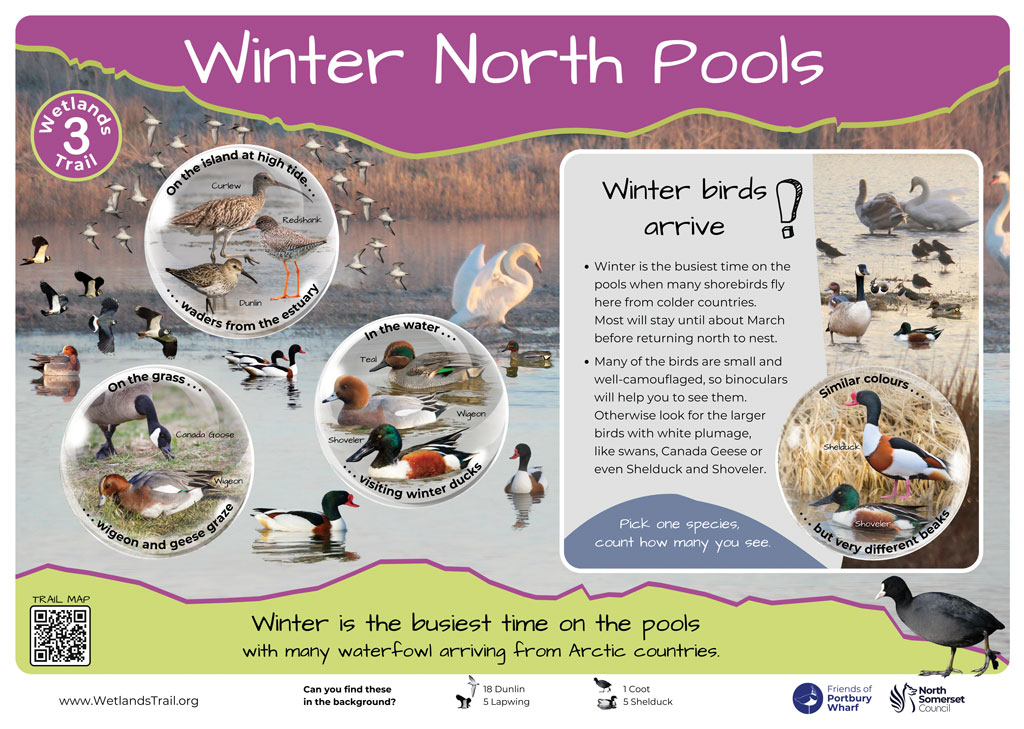 Winter North Pools