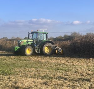Tractor cutting reeds