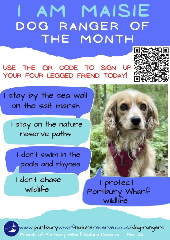 Maisie is dog ranger of March 2026
