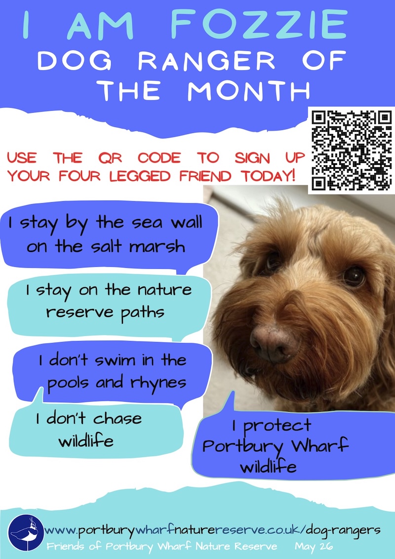 Fozzie is Dog Ranger of the Month for May 2026