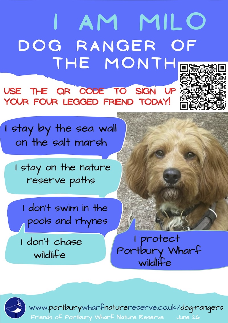 Milo Dog Ranger of the Month June 2026