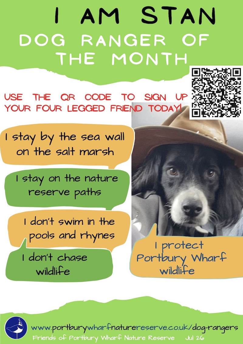 Stan is Dog Ranger of the Month July 2026