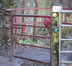 Accessibility at the end of Wharf Lane