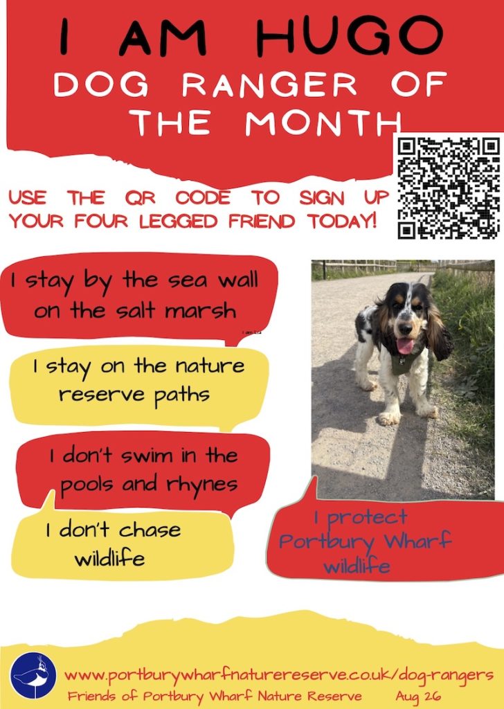 HUGO Dog Ranger of the Month of August 2026