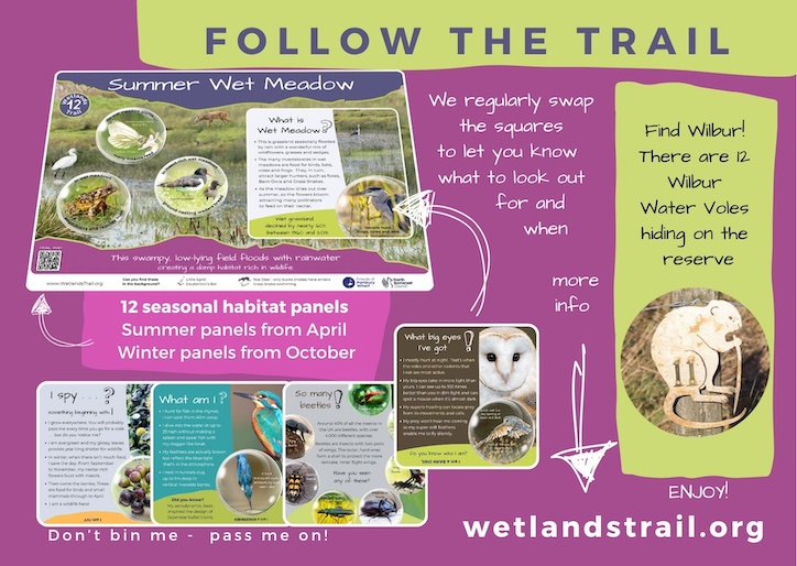 Wetlands Trail back