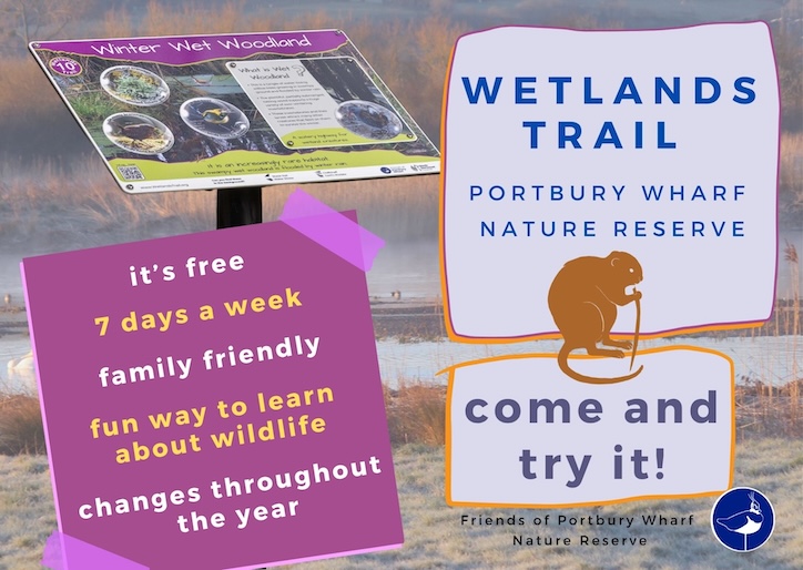 Wetlands Trail front