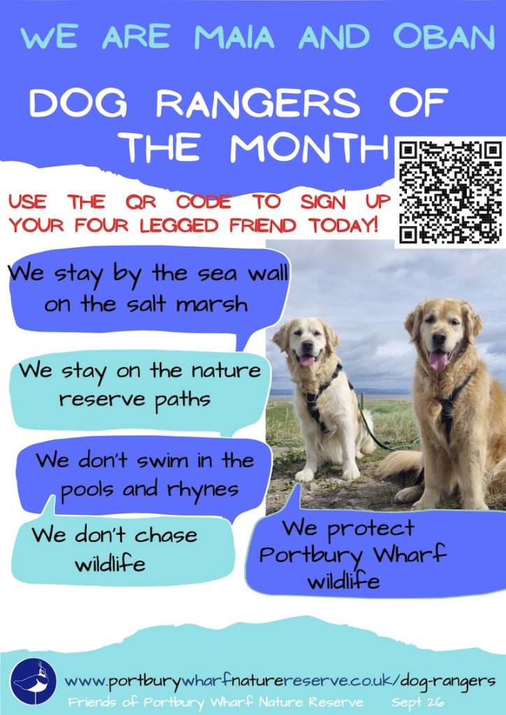 September 26 Dog Rangers Maia an Oban